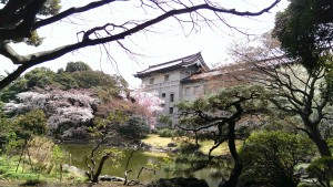 池越しに博物館本館をのぞむ