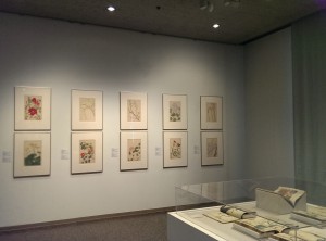 展示テーマが《花》なのでつい名字にある藤の花を探していまいました！