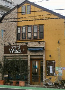 wish3