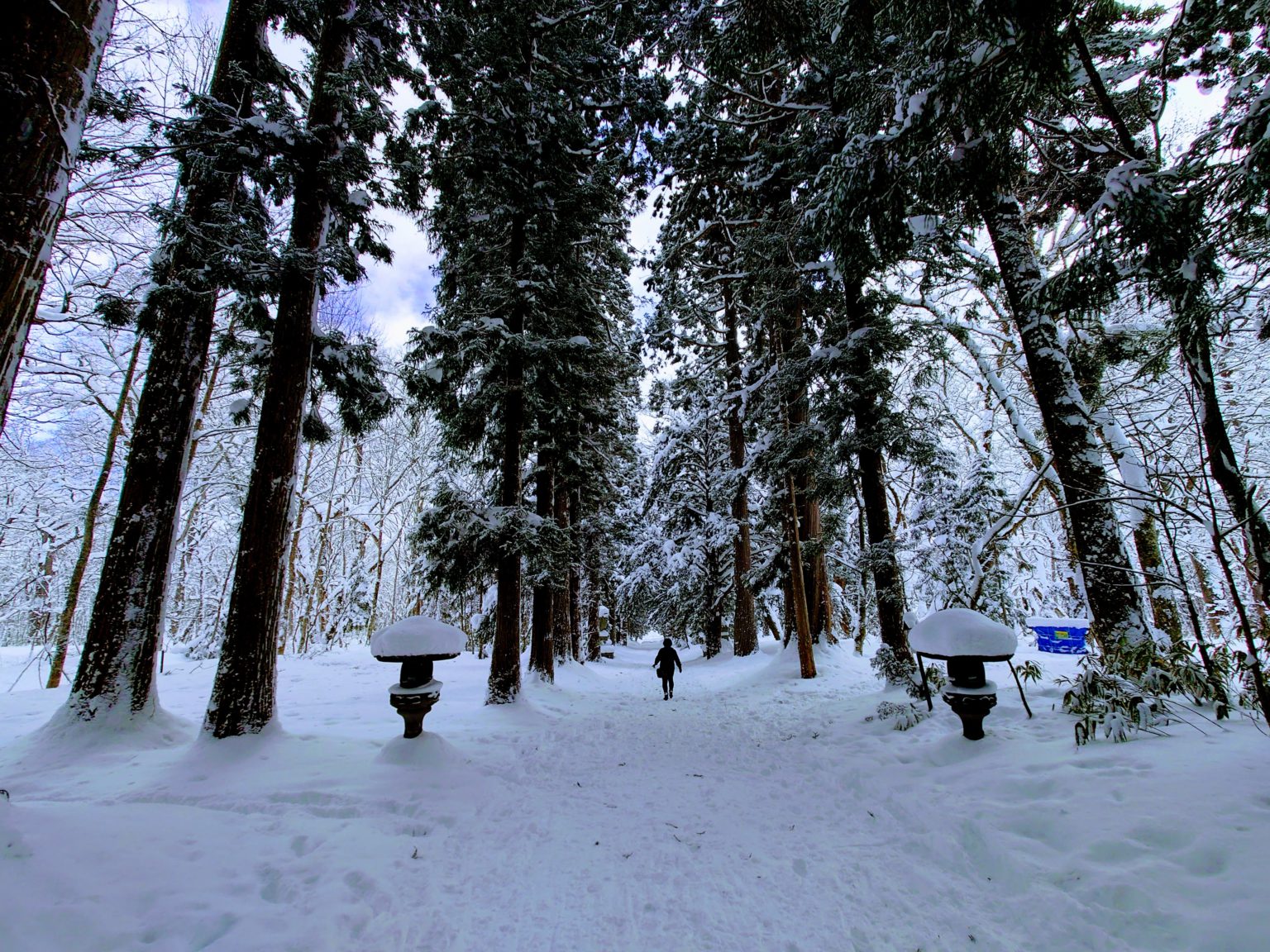 今週からゲストは斉藤安弘さん!プレゼントは「戸隠スキー場リフト券」&「戸隠そば」!JBLOODのポップンロールコレクション 2024/1